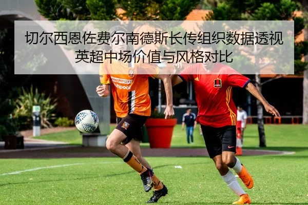 切尔西恩佐费尔南德斯长传组织数据透视英超中场价值与风格对比